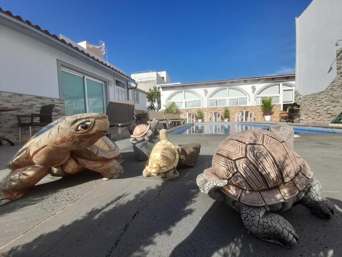 Tenerife Little Village S San Isidro  Exterior photo